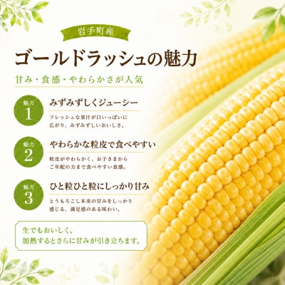 【数量限定】とうもろこし ゴールドラッシュ 2L 約10kg(約26本)岩手県 岩手町産
