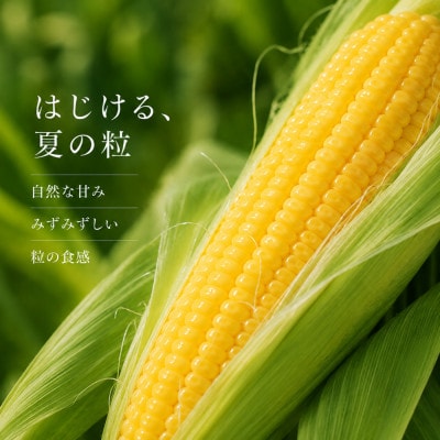 【数量限定】とうもろこし ゴールドラッシュ 2L 約10kg(約26本)岩手県 岩手町産