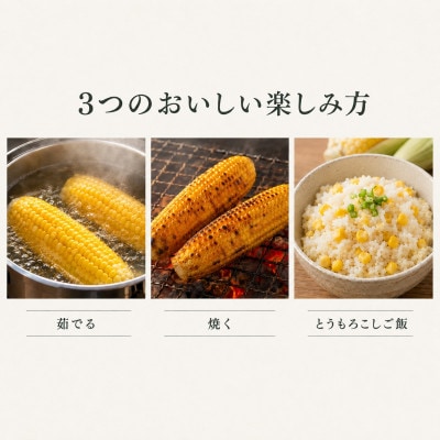 【数量限定】とうもろこし ゴールドラッシュ 2L 約10kg(約26本)岩手県 岩手町産