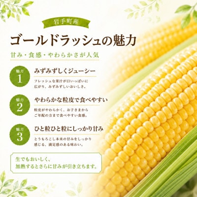 【数量限定】とうもろこし ゴールドラッシュ 2L 約5kg(約13本)岩手県 岩手町産