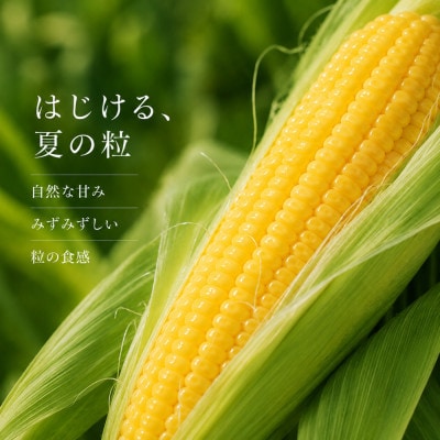 【数量限定】とうもろこし ゴールドラッシュ 2L 約5kg(約13本)岩手県 岩手町産