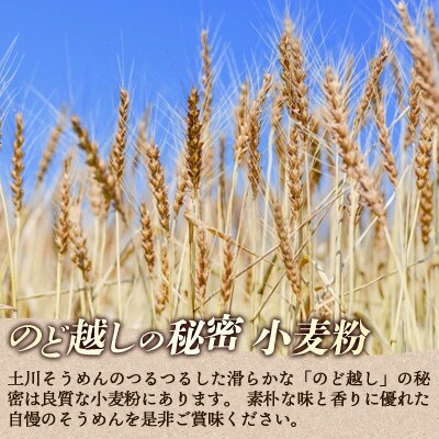 岩手名物「土川そうめん」5kg(200g×25袋)