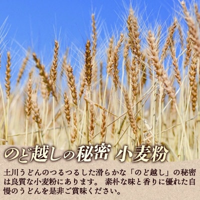 岩手名物「土川うどん」6kg(200g×30袋)