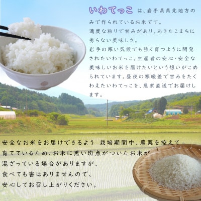 【さとふる限定】岩手町産いわてっこ 精米　10kg