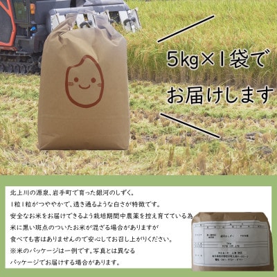 【先行受付】【令和7年10月中旬以降～順次発送】令和7年産　岩手町産銀河のしずく　精米5kg