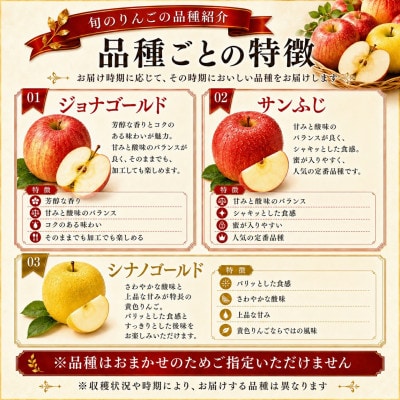 【先行受付】訳ありりんご約5kg　品種おまかせ　令和8年産　ジョナゴールド　サンふじ　シナノゴールド