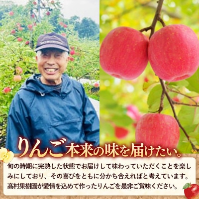 【先行受付】訳ありりんご約5kg　品種おまかせ　令和8年産　ジョナゴールド　サンふじ　シナノゴールド