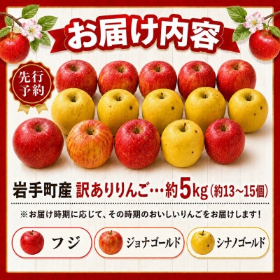 【先行受付】訳ありりんご約5kg　品種おまかせ　令和8年産　ジョナゴールド　サンふじ　シナノゴールド