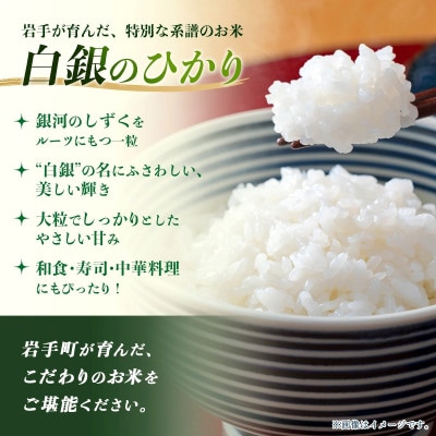 【先行予約】令和8年産白銀のひかり 精米 5kg(5kg×1袋) 新米