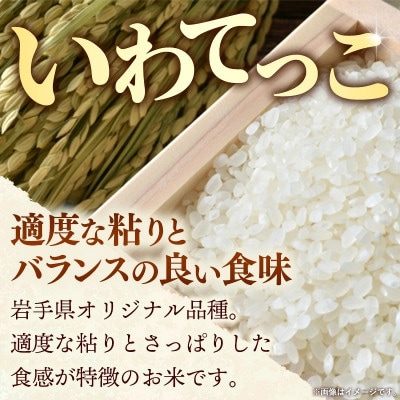 令和8年産 新米 いわてっこ(精米)10kg
