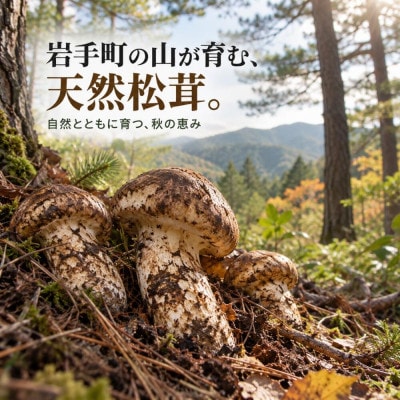 【2027年9月より順次発送】岩手町産 天然松茸 150g