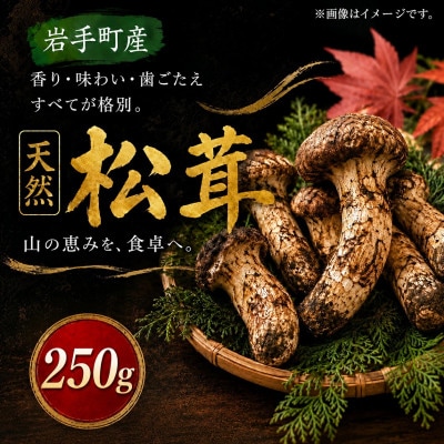 【2027年9月より順次発送】岩手町産 天然松茸 250g