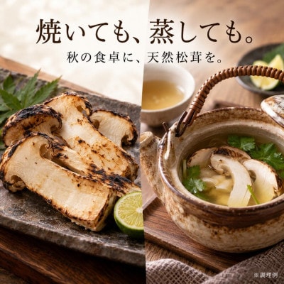 【2027年9月より順次発送】岩手町産 天然松茸 250g