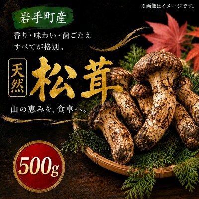 【2027年9月より順次発送】岩手町産 天然松茸 500g