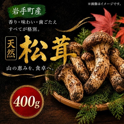 【2027年9月より順次発送】岩手町産 天然松茸 400g