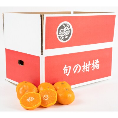 【2026年11月中旬より発送】紀州有田産濃厚完熟温州みかん　5kg