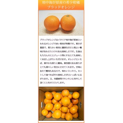 希少な柑橘!紀州有田産ブラッドオレンジ 約3kg【ご家庭用】