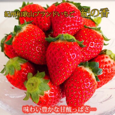 【2027年1月中旬から順次発送】紀州和歌山ブランドいちご「紀の香」約250g×4P