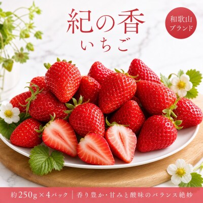 【2027年1月中旬から順次発送】紀州和歌山ブランドいちご「紀の香」約250g×4P