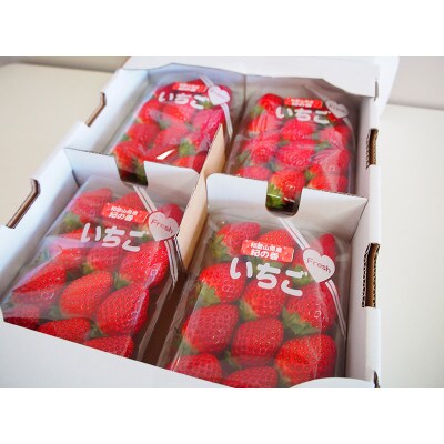 【2027年1月中旬から順次発送】紀州和歌山ブランドいちご「紀の香」約250g×4P