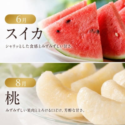 【発送月固定定期便】紀州和歌山産旬のフルーツセット(不知火・清見・スイカ・桃・柿・みかん)全6回