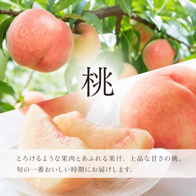 【発送月固定定期便】紀州和歌山産旬のフルーツセット(7月:桃約1.8kg・8月:梨約2kg)全2回