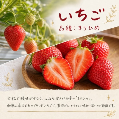 【発送月固定定期便】紀州和歌山産旬のフルーツセット(いちご・桃・ピオーネ)全3回