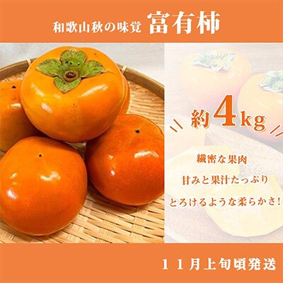 2022年10月発送開始『定期便』紀州和歌山産旬のフルーツセット(ひらたね・富有柿・みかん)全3回