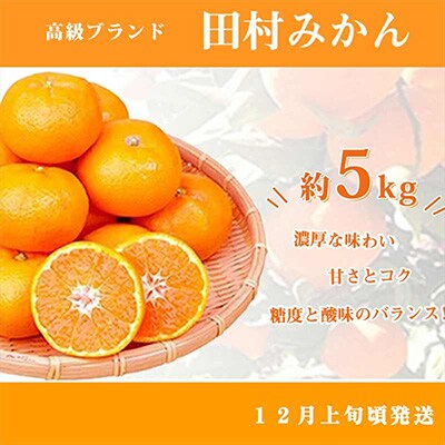 2022年10月発送開始『定期便』紀州和歌山産旬のフルーツセット(ひらたね・富有柿・みかん)全3回