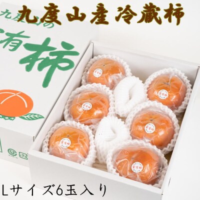 【まごころ栽培】九度山の冷蔵富有柿Lサイズ6玉入り