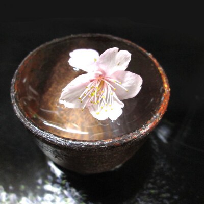 本格米焼酎と本格米芋混和焼酎「錐鑚」飲み比べ720ml×2種