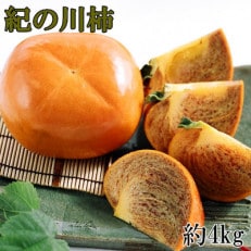 【2023年度発送分】【希少】紀の川柿(種無し)約3.5～4kg・秀品　(那智勝浦町)