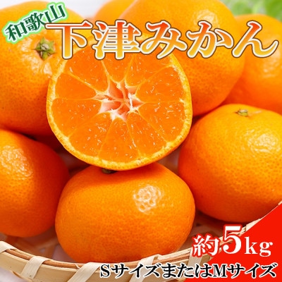 【産直】和歌山下津みかん約5kg(SサイズまたはMサイズのいずれかをお届け・秀品) (那智勝浦町)