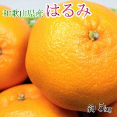 【大玉】和歌山県産はるみ約5kg(3L～5Lサイズおまかせ・ご家庭用) (那智勝浦町)