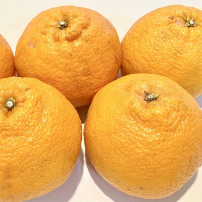 「農園直送」和歌山県産不知火　もりもりの約9kg(サイズ混合　ご家庭用)(那智勝浦町)