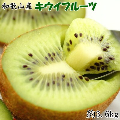 和歌山の下津で採れたキウイフルーツ約3.6kg(玉数おまかせ・秀品)(那智勝浦町)