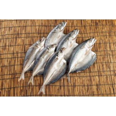 あじ干物(地場産)3尾 さば干物(地場産)3尾(那智勝浦町)