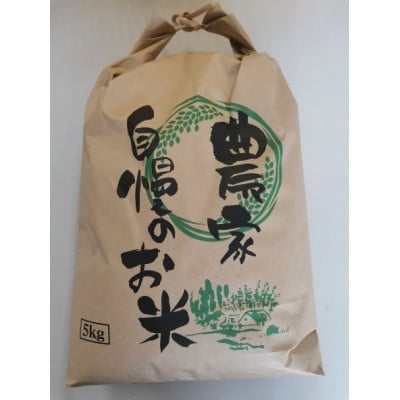 いくひかり　5kg[2023年産](那智勝浦町)