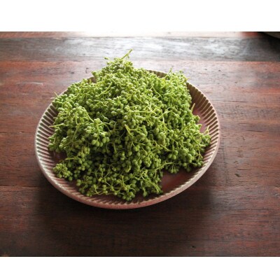 【熊野牛】紀州ごちそうオードブルセット