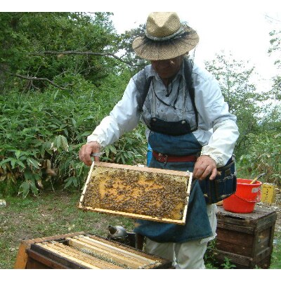 熊野古道　峠の蜂蜜3本セット
