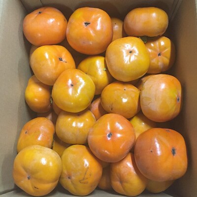 和歌山県産　柿　約5kg　秀品