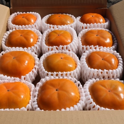 和歌山県産　柿　約2.5kg　秀品
