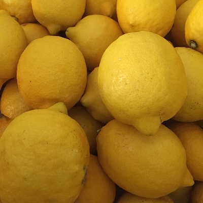 和歌山県産　レモン　約1kg　秀品