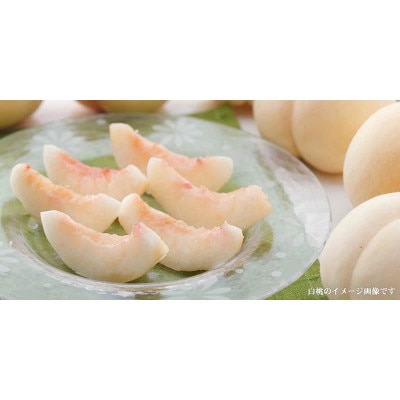和歌山の桃 秀品 約3.8～4kg (サイズ・品種おまかせ) 産地直送