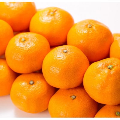 ブランド有田みかん【M】秀品10kg/薄皮で甘い美味しいみかん/産地直送