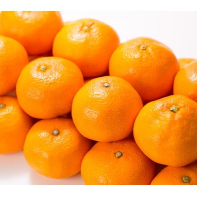 有田みかん約7.5kg(+傷み補填分500g)=合計8kg【サイズおまかせ】薄皮で甘い美味しいみかん