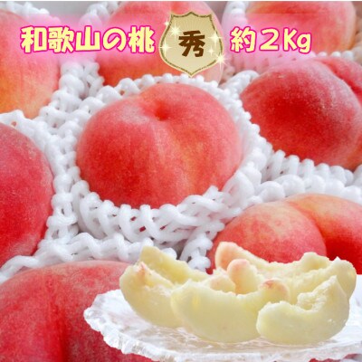 【秀品】和歌山ブランド白桃約2kg! ギフト、贈答品にも!　8月以降発送分