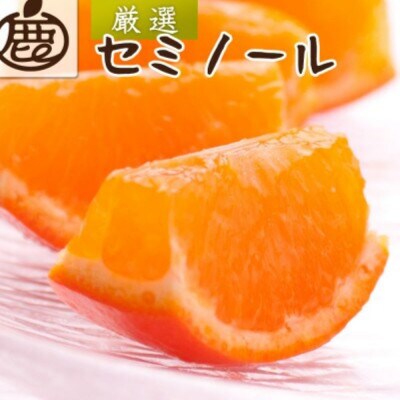 厳選 セミノールオレンジ2.5kg+250g(傷み補償分)【春みかん】【有田産】【光センサー選果】