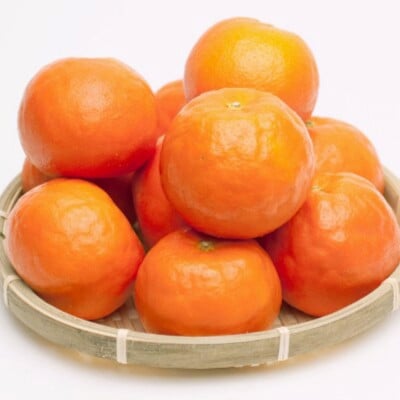 厳選 セミノールオレンジ2.5kg+250g(傷み補償分)【春みかん】【有田産】【光センサー選果】