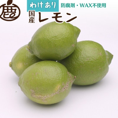 家庭用 レモン5kg+250g(傷み補償分)【和歌山有田産】【防腐剤・WAX不使用】【訳あり】